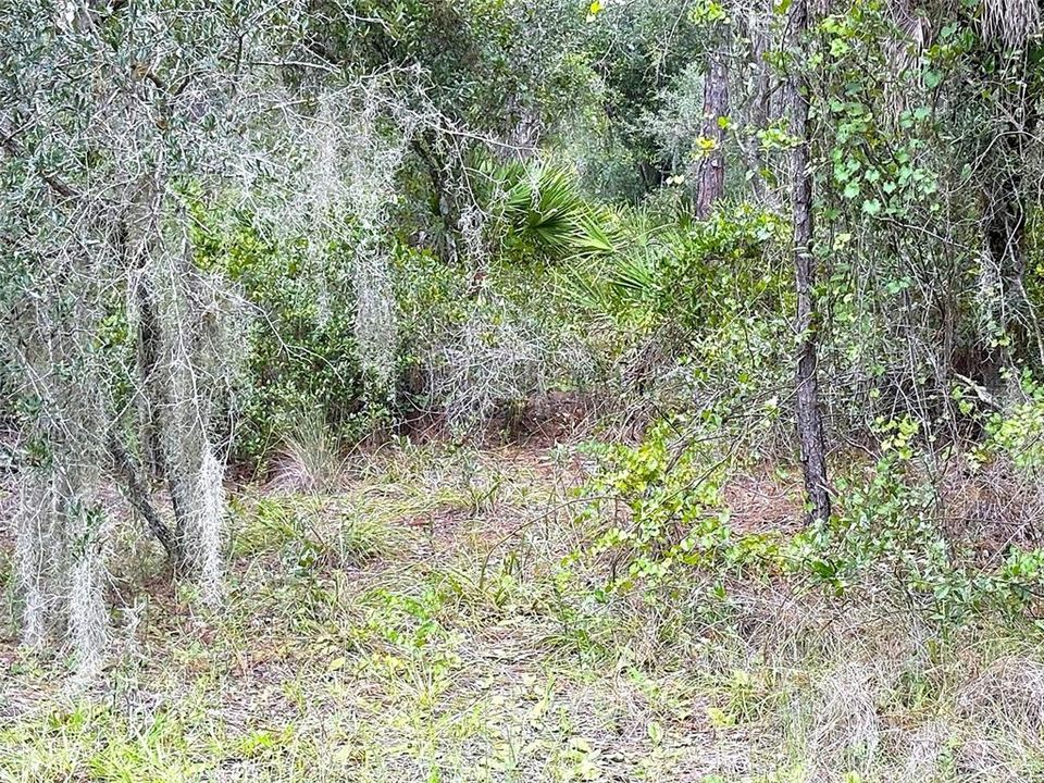 待售: $17,000 (0.23 acres)