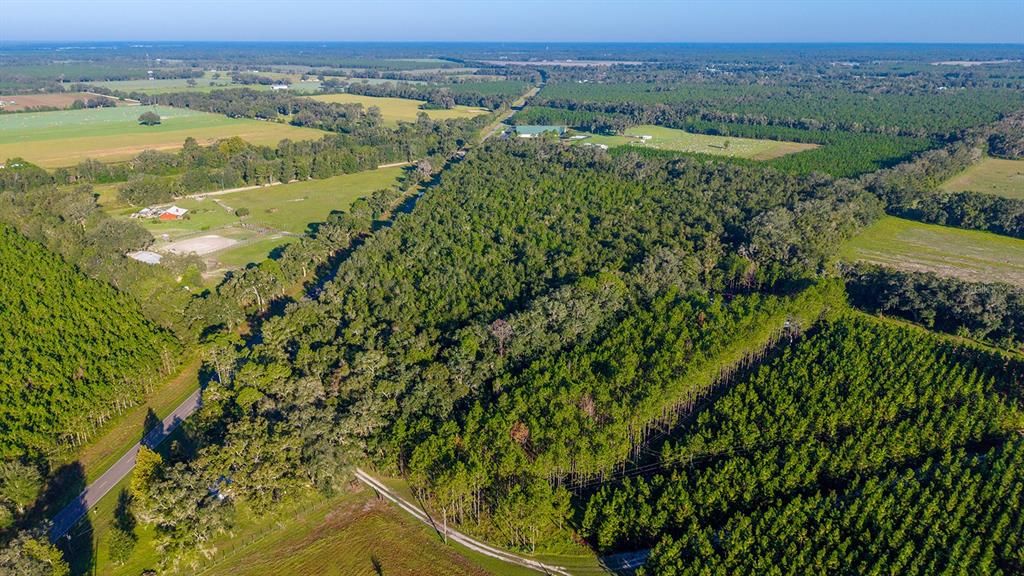 For Sale: $374,000 (22.76 acres)