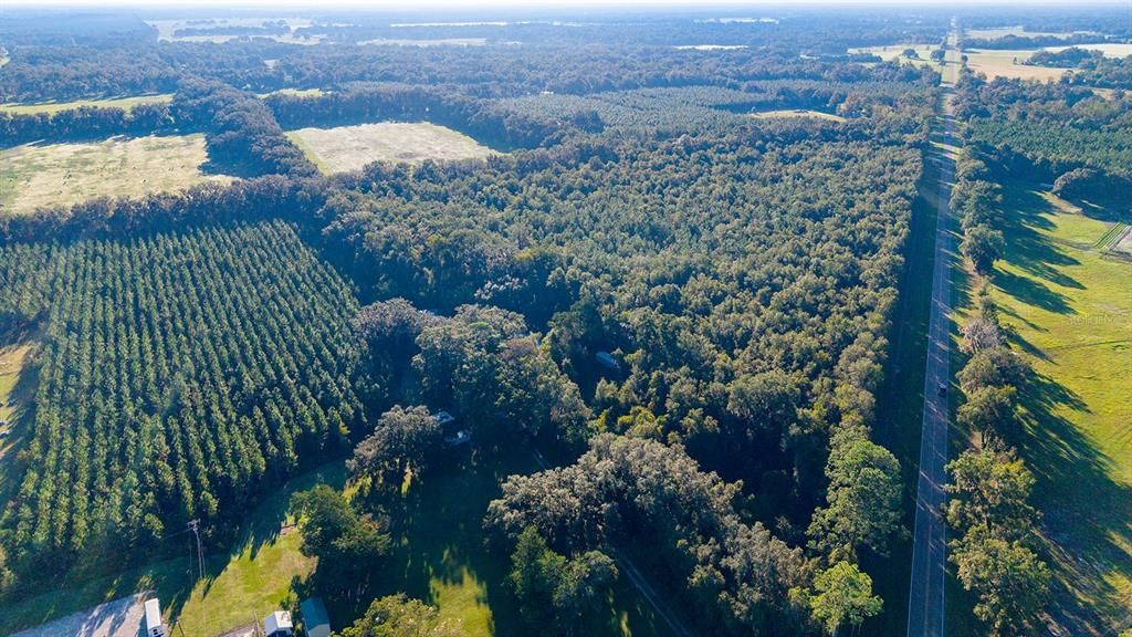 For Sale: $374,000 (22.76 acres)