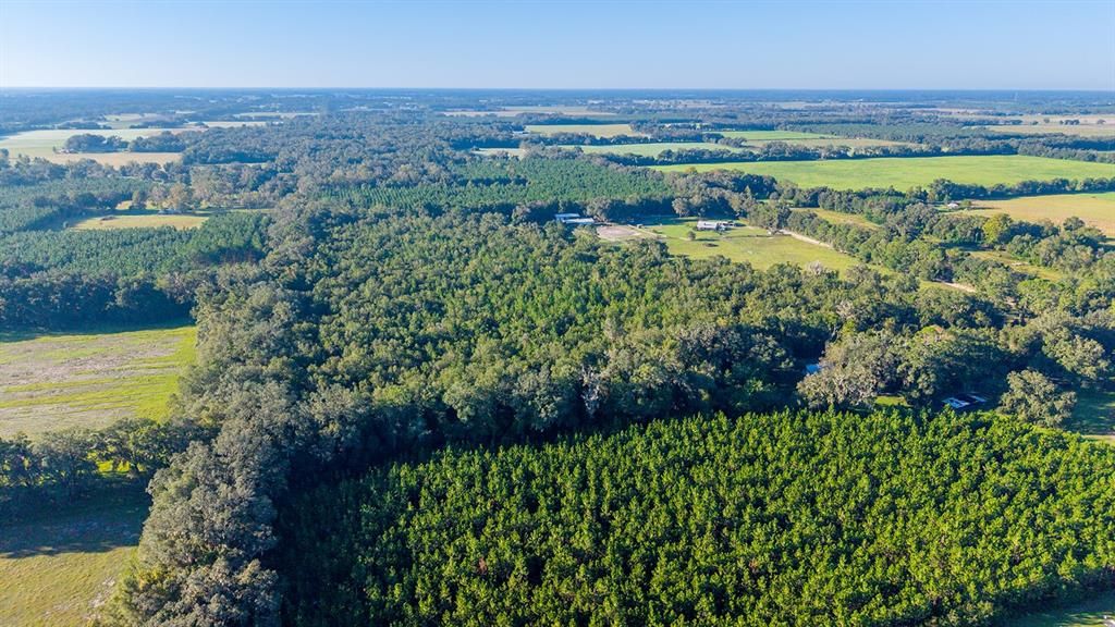 For Sale: $374,000 (22.76 acres)
