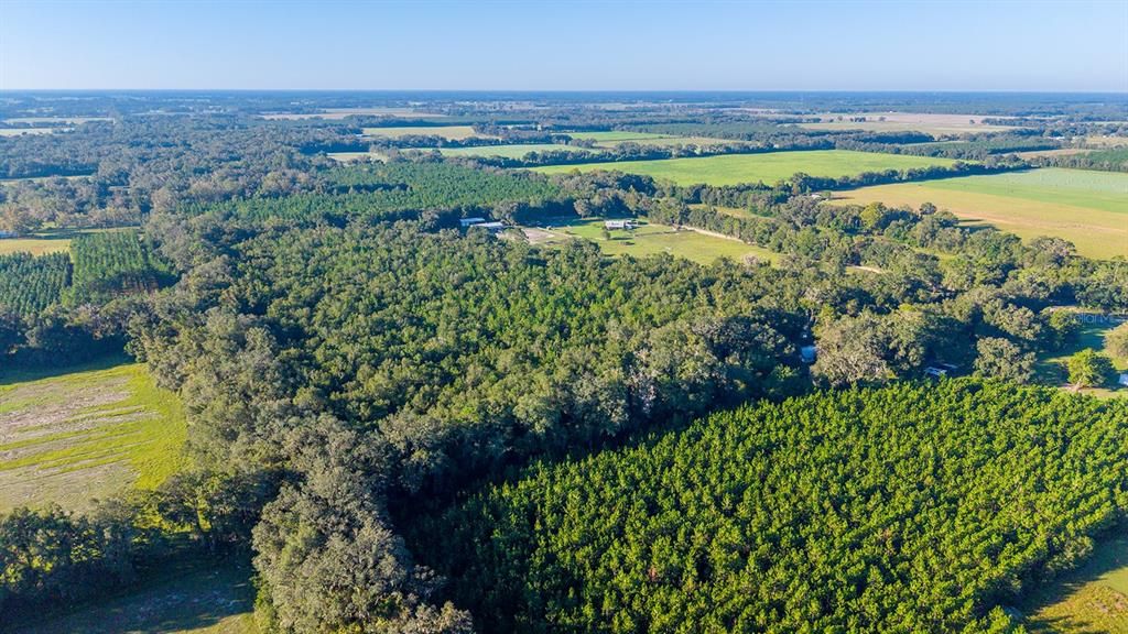 For Sale: $374,000 (22.76 acres)