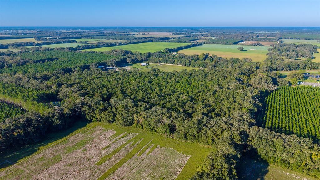 For Sale: $374,000 (22.76 acres)