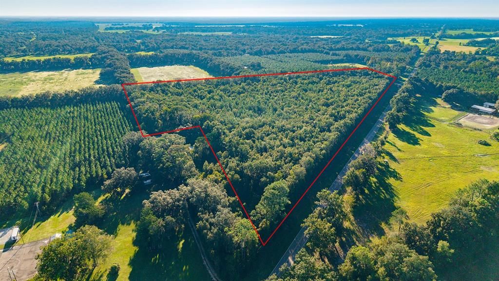 For Sale: $374,000 (22.76 acres)