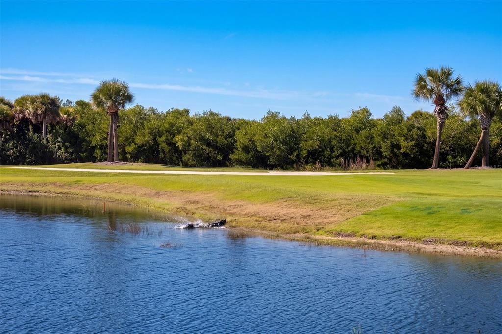 For Sale: $249,900 (2 beds, 2 baths, 1194 Square Feet)