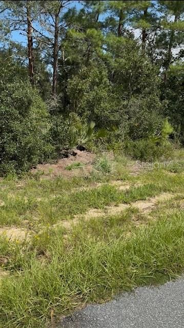 En Venta: $59,000 (0.32 acres)