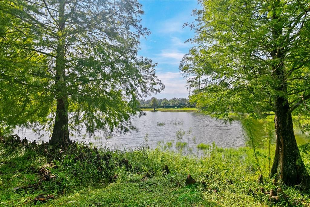 На продажу: $365,000 (4 спален, 2 ванн, 2371 Квадратных фут)