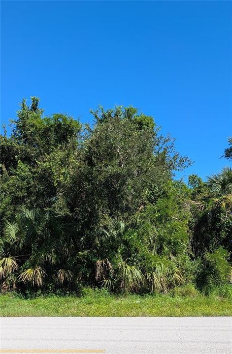 待售: $21,500 (0.23 acres)