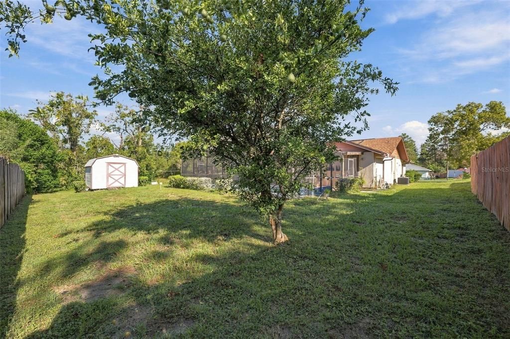 На продажу: $290,000 (3 спален, 2 ванн, 1351 Квадратных фут)