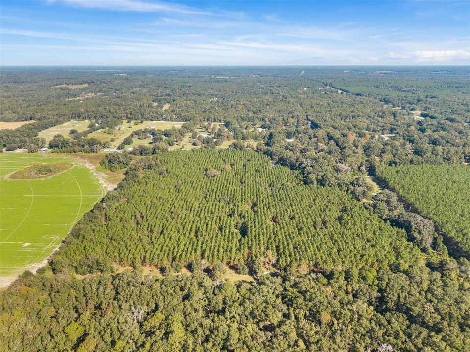 For Sale: $260,000 (13.11 acres)