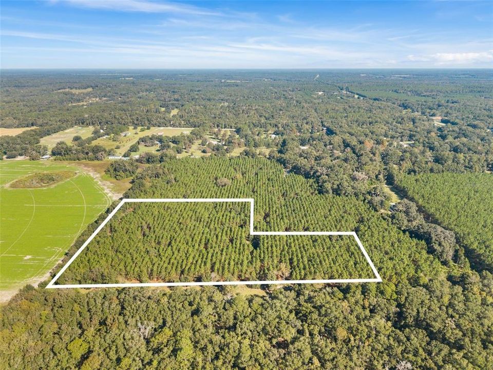 For Sale: $260,000 (13.11 acres)