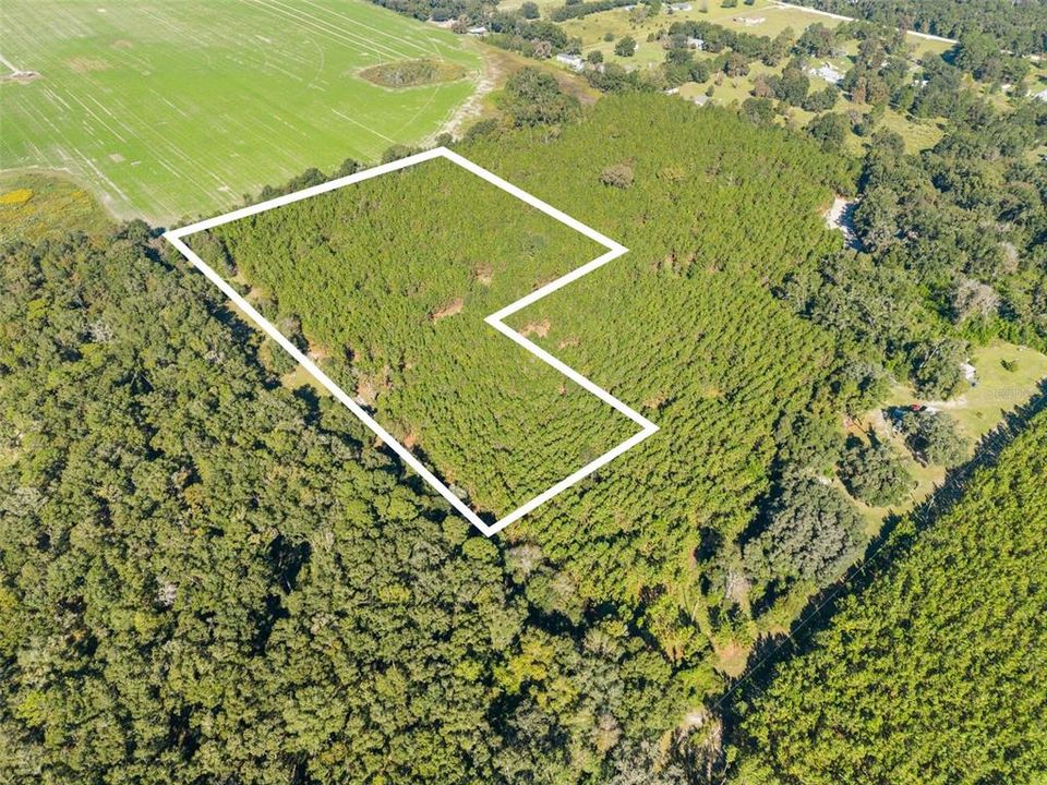 For Sale: $260,000 (13.11 acres)