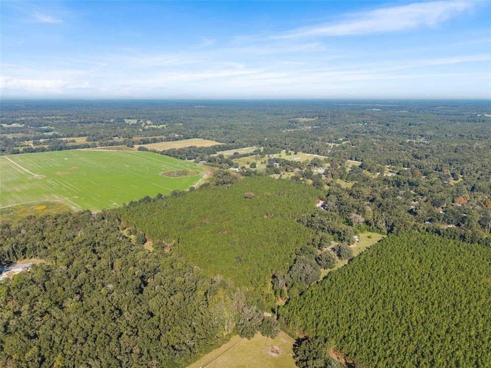 For Sale: $260,000 (13.11 acres)