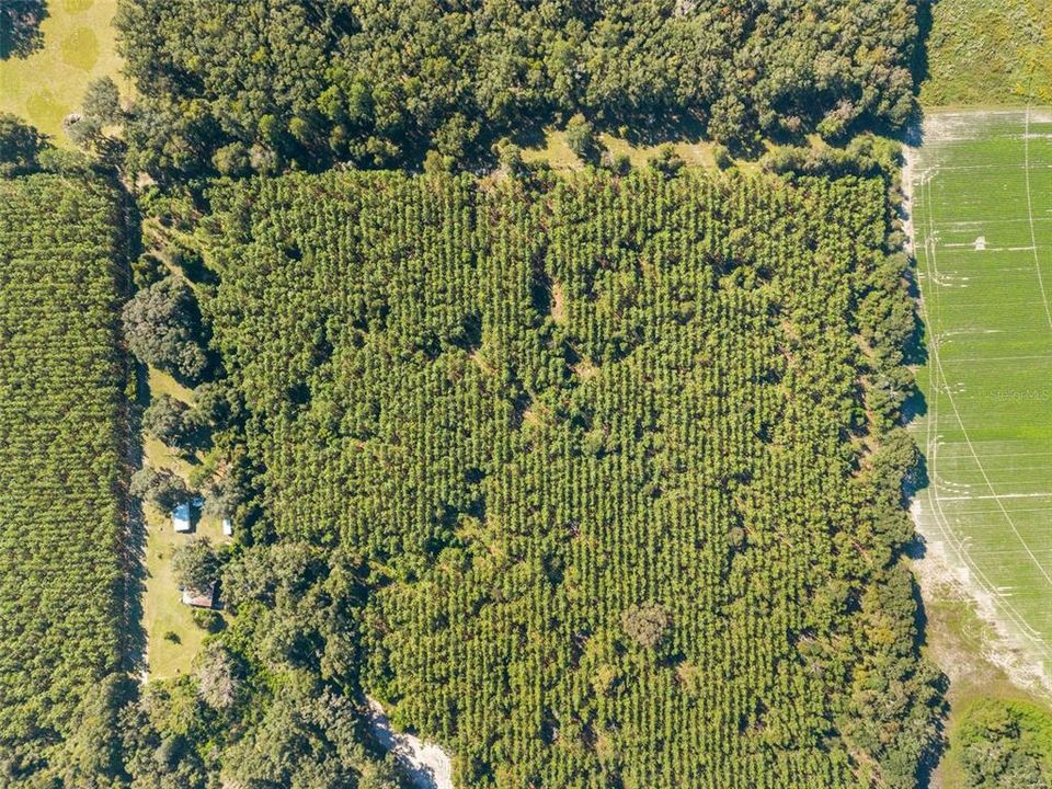 For Sale: $260,000 (13.11 acres)