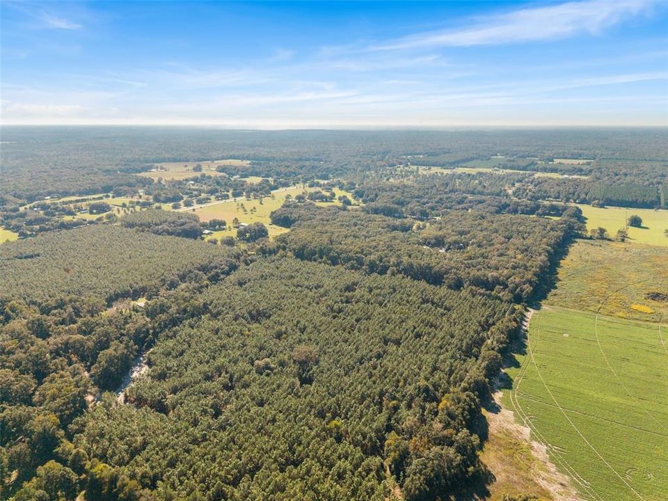 For Sale: $260,000 (13.11 acres)