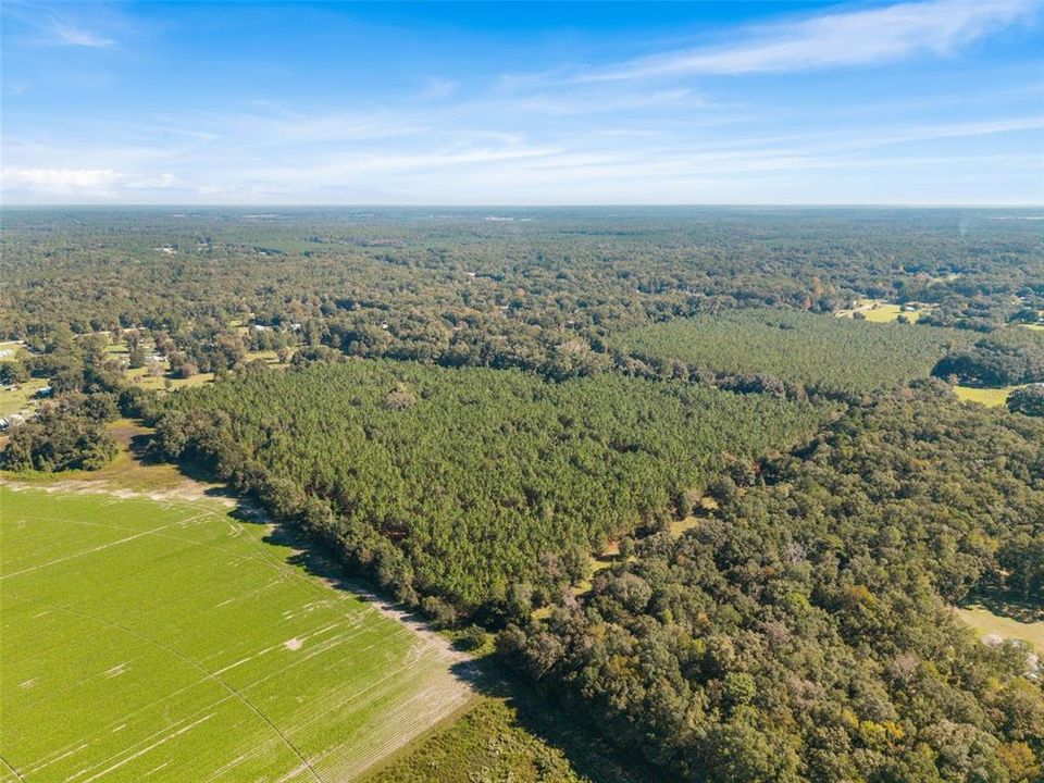For Sale: $260,000 (13.11 acres)