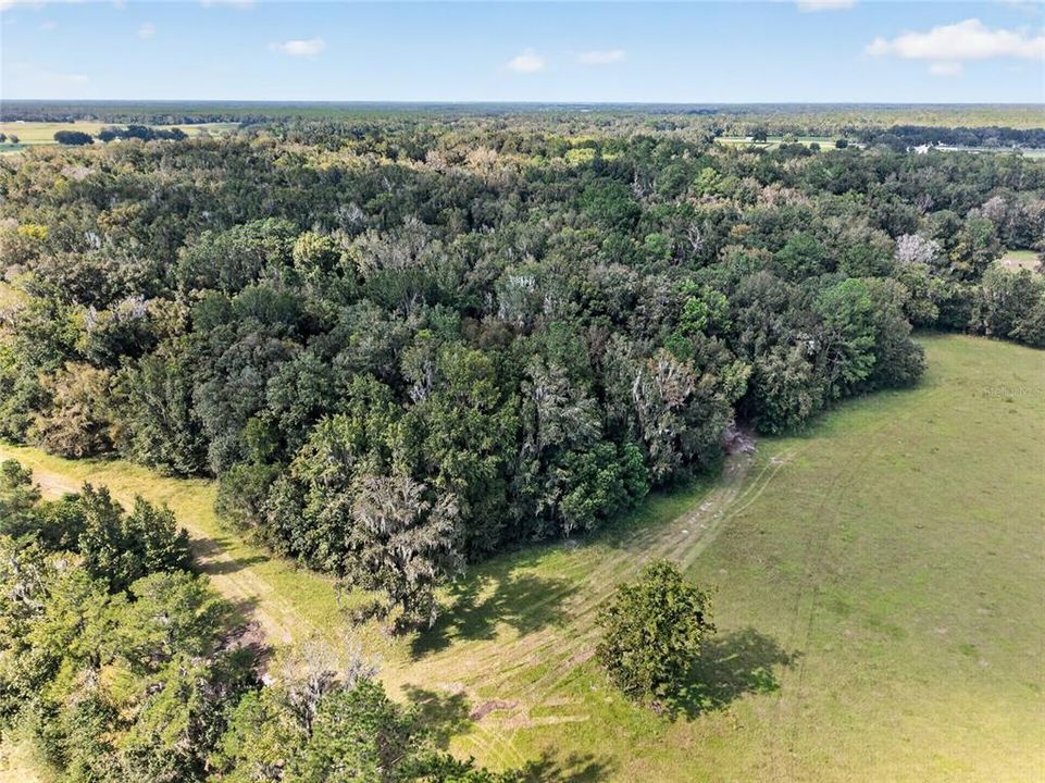 待售: $1,500,000 (57.59 acres)