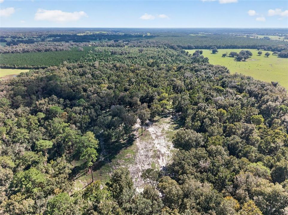 待售: $1,500,000 (57.59 acres)