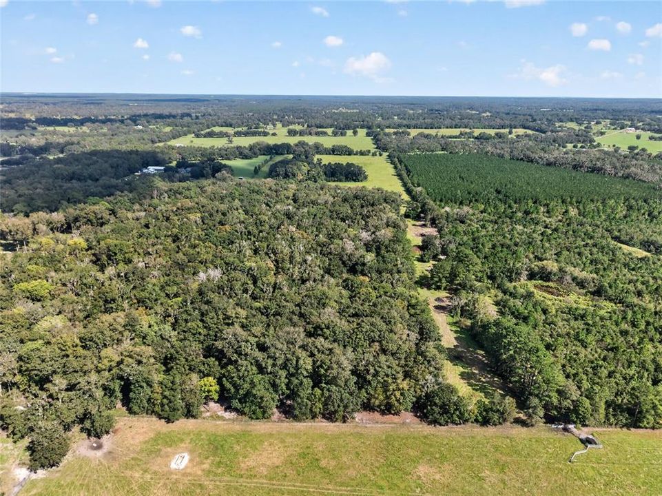 待售: $1,500,000 (57.59 acres)