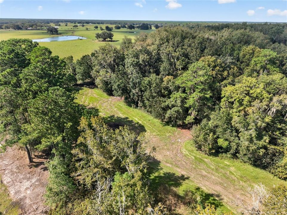 待售: $1,500,000 (57.59 acres)