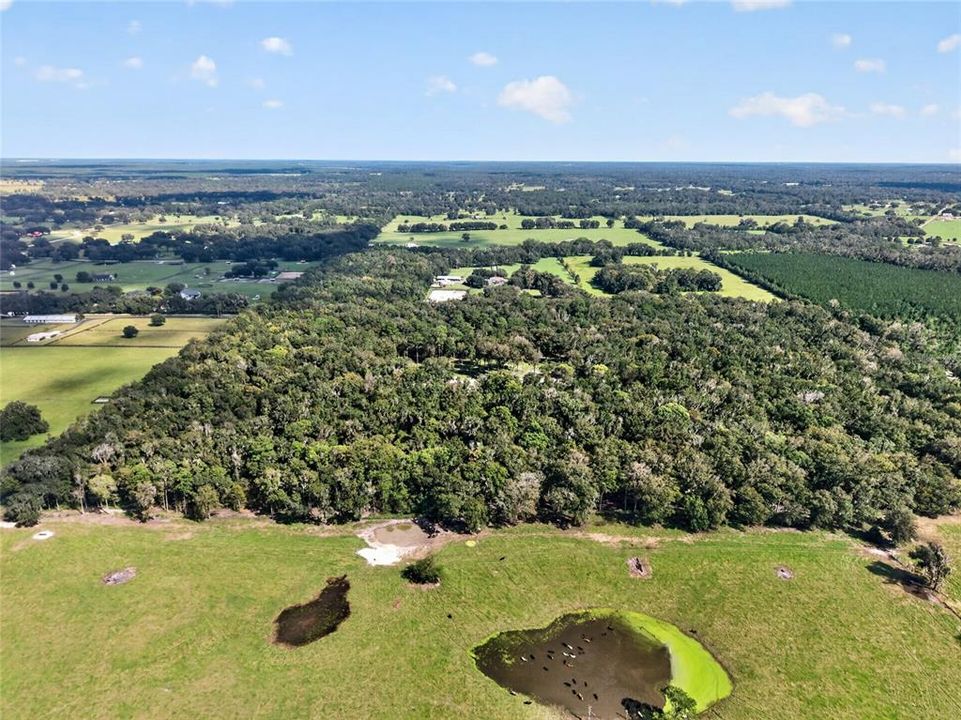 待售: $1,500,000 (57.59 acres)