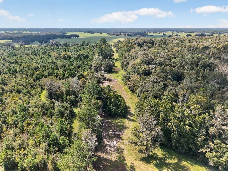 待售: $1,500,000 (57.59 acres)