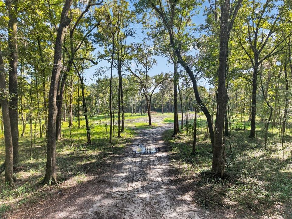 待售: $1,500,000 (57.59 acres)