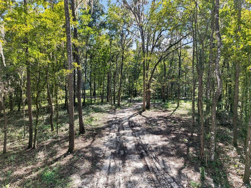 待售: $1,500,000 (57.59 acres)