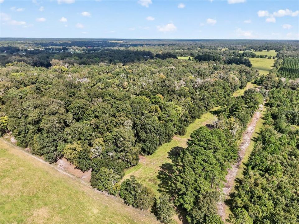 待售: $1,500,000 (57.59 acres)