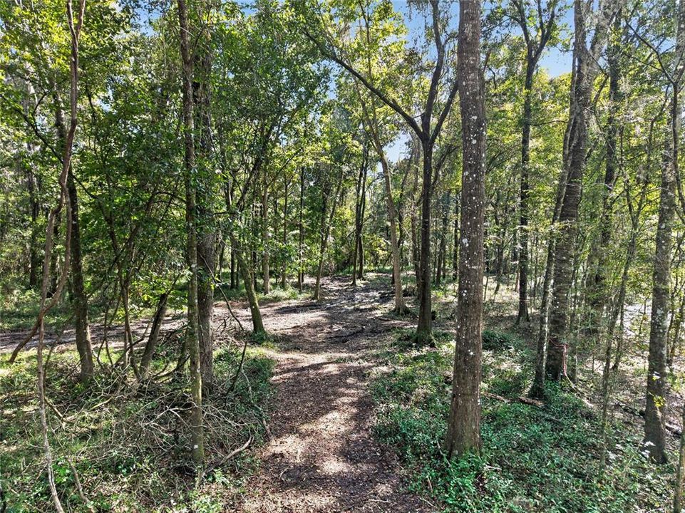 待售: $1,500,000 (57.59 acres)