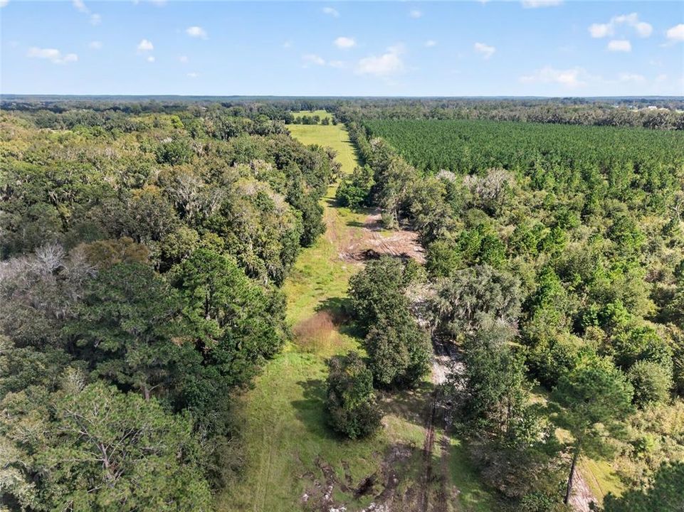 待售: $1,500,000 (57.59 acres)