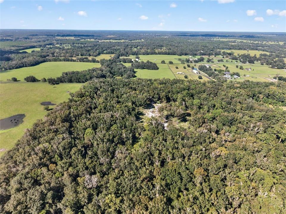 待售: $1,500,000 (57.59 acres)