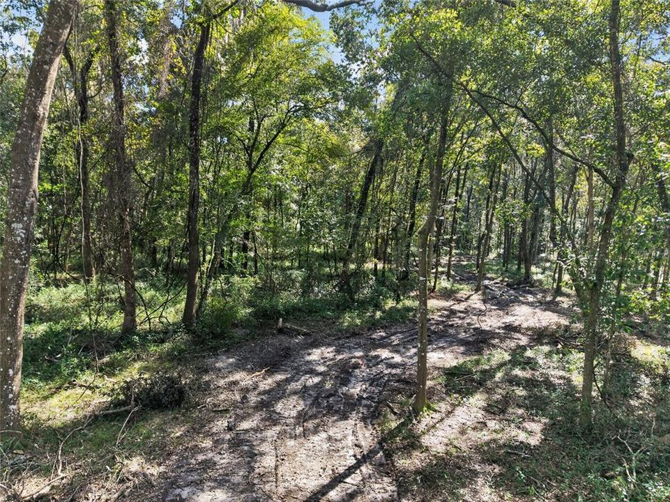 待售: $1,500,000 (57.59 acres)