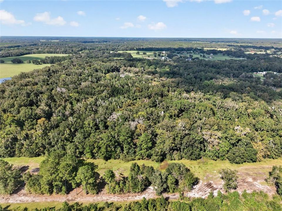 待售: $1,500,000 (57.59 acres)