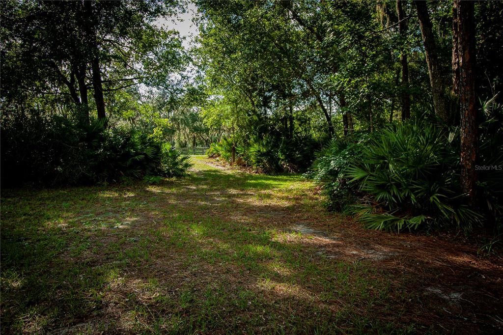 For Sale: $295,000 (14.55 acres)
