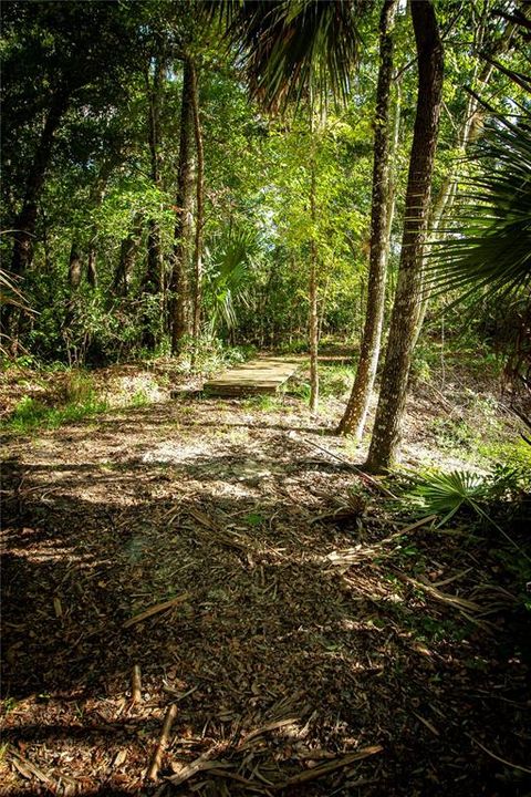 For Sale: $295,000 (14.55 acres)