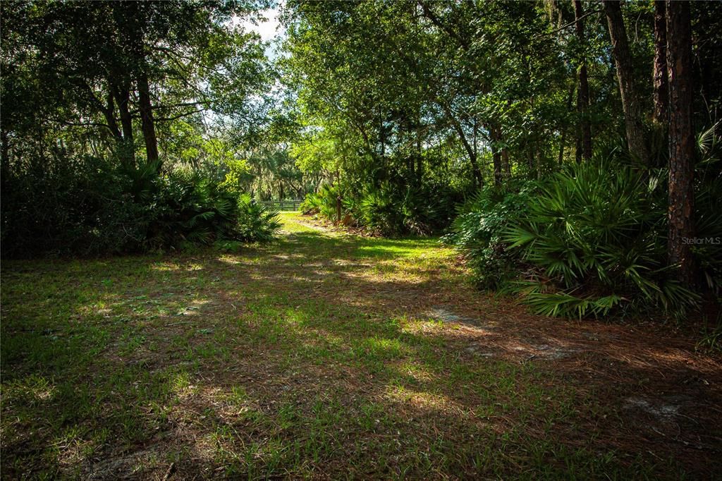 For Sale: $295,000 (14.55 acres)