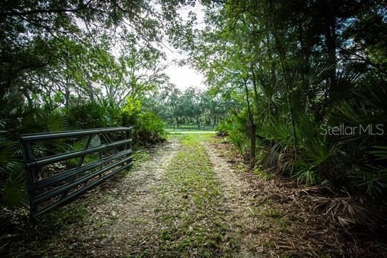 For Sale: $295,000 (14.55 acres)