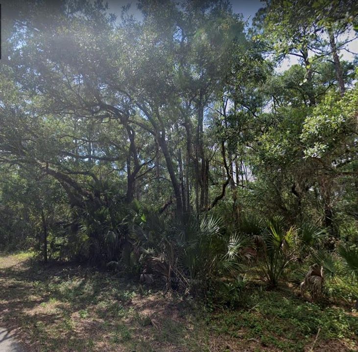 На продажу: $25,000 (0.23 acres)