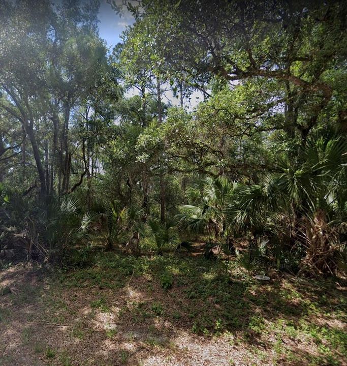 На продажу: $25,000 (0.23 acres)