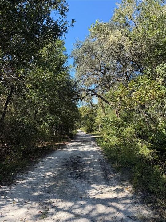 For Sale: $39,900 (1.25 acres)