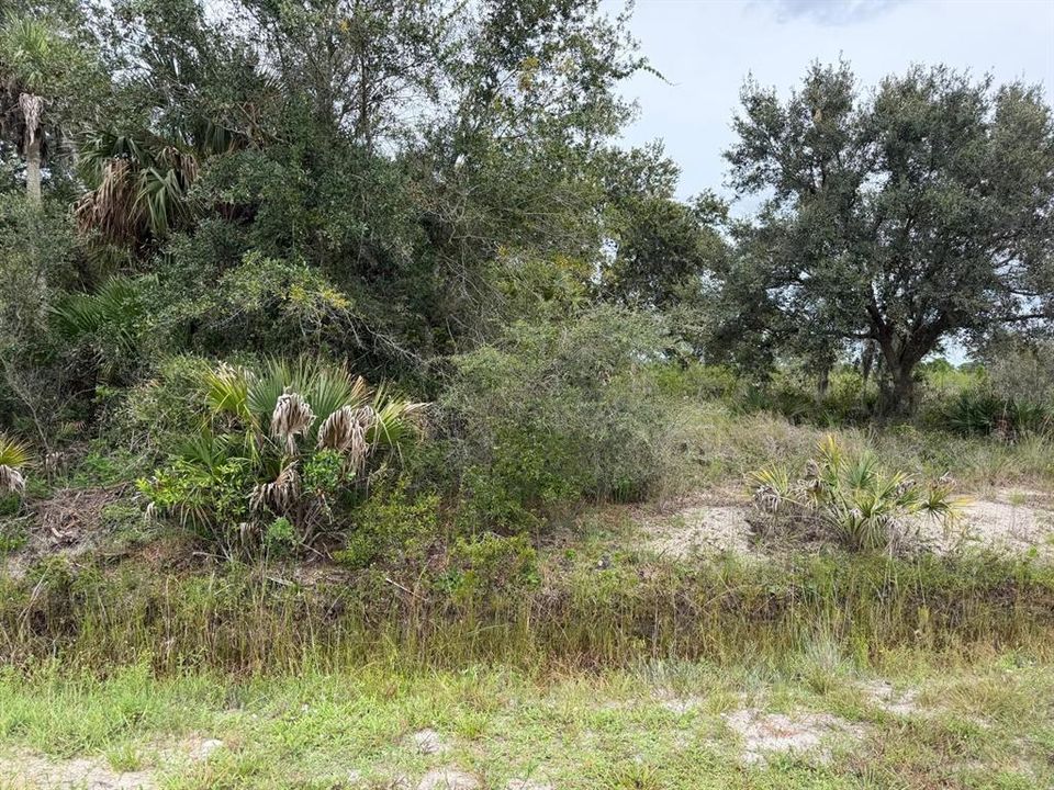 En Venta: $35,000 (1.25 acres)