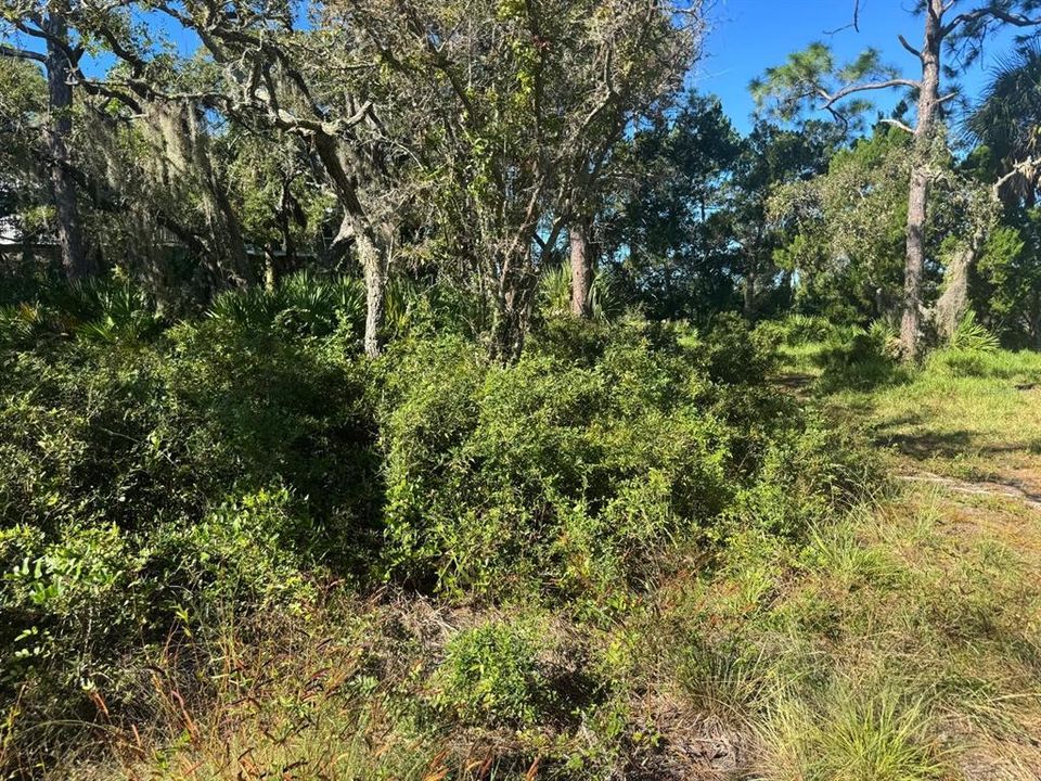 En Venta: $350,000 (5.10 acres)