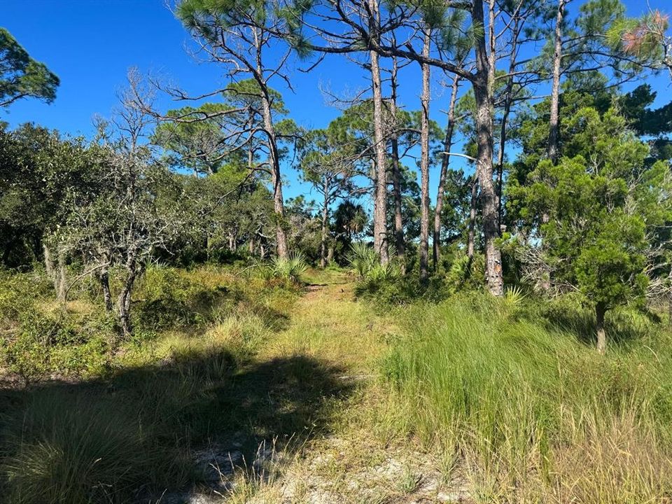 En Venta: $350,000 (5.10 acres)