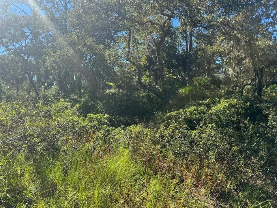 En Venta: $350,000 (5.10 acres)
