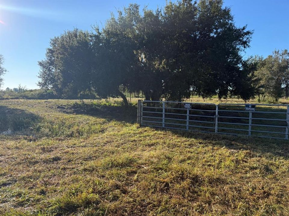 En Venta: $39,000 (1.25 acres)