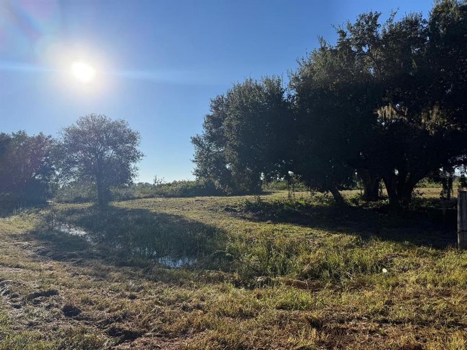 En Venta: $39,000 (1.25 acres)