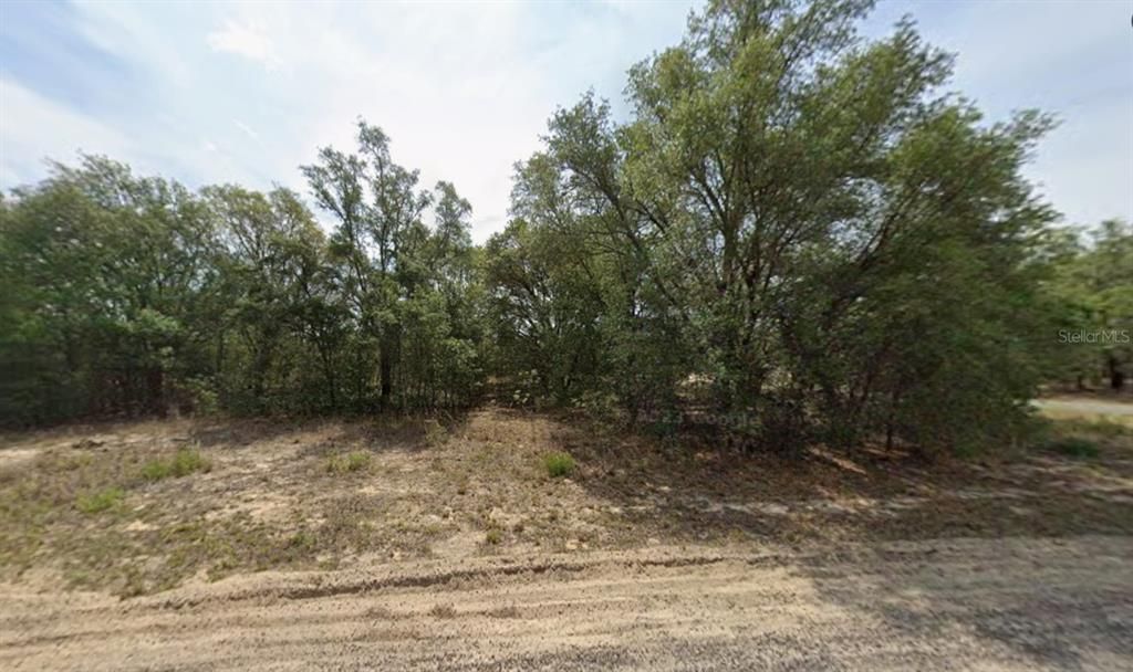 For Sale: $24,900 (0.35 acres)