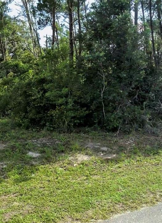 For Sale: $28,499 (0.26 acres)