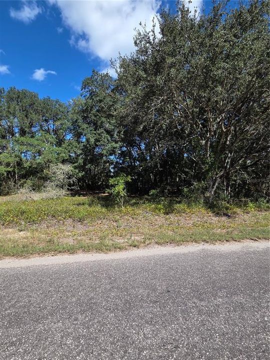 For Sale: $30,000 (0.34 acres)