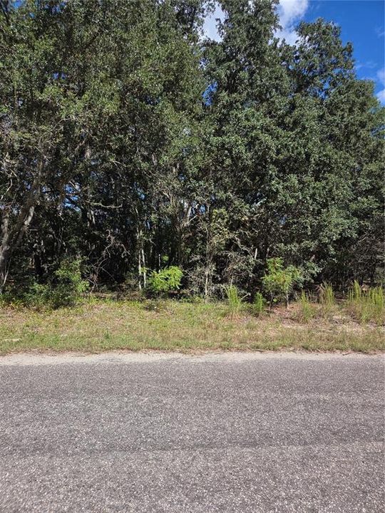 For Sale: $30,000 (0.34 acres)